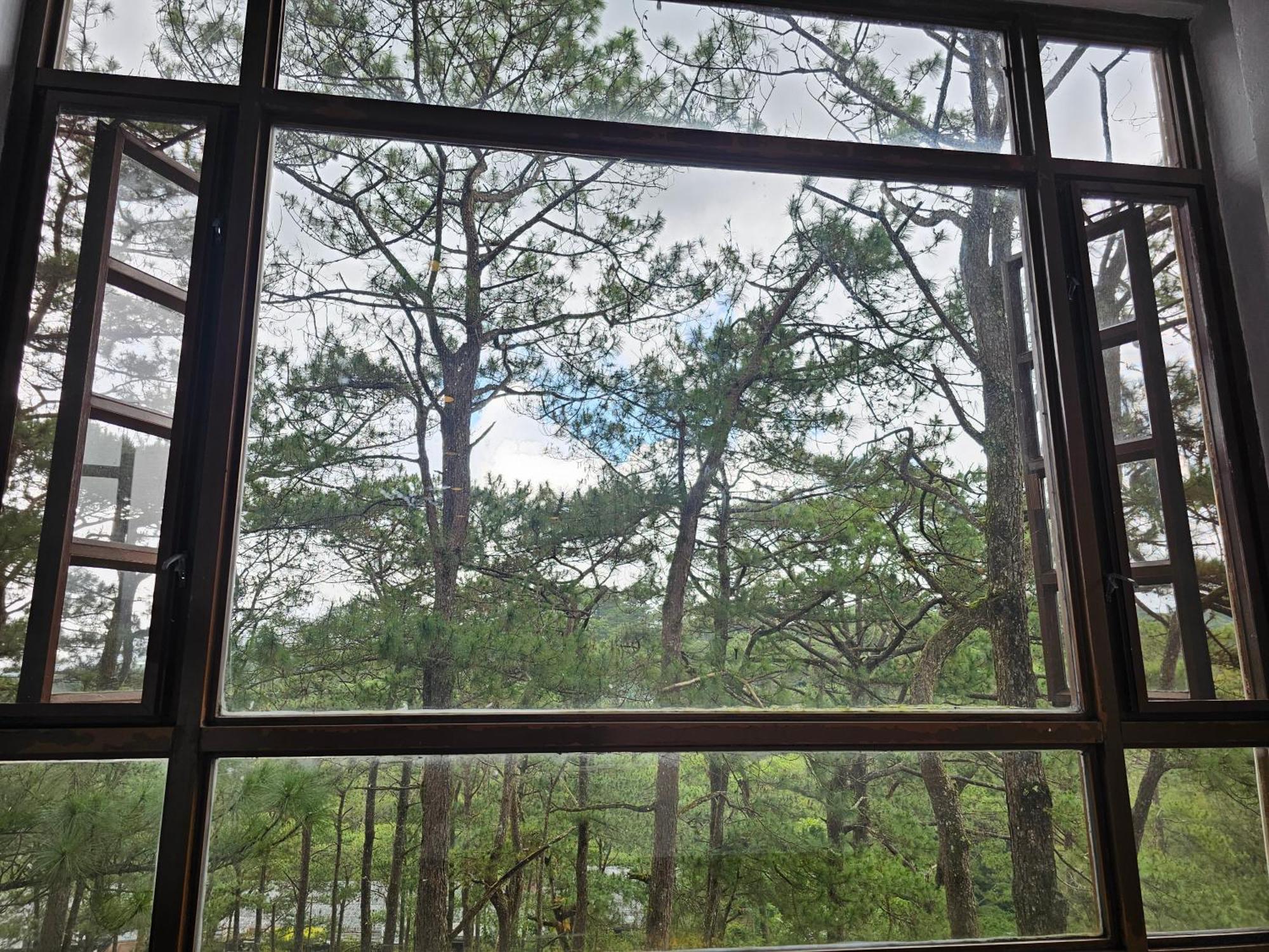 Baguio Forest Lodge At Camp John Hay 001A Багио Экстерьер фото